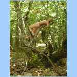 DSCN0034.html