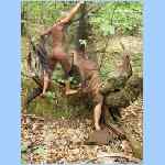 DSCN0035.html