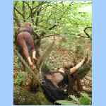 DSCN0062.html