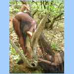 DSCN0068.html