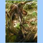 DSCN0071.html
