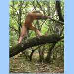 DSCN0081.html