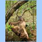 DSCN0093.html
