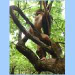 DSCN9864.html