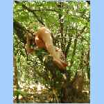 DSCN9979.html