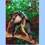 D0079s.html