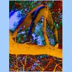 D0089ss.html