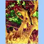 D9870a.html