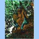 D9302f.html
