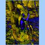 Ds9088b.html
