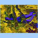Ds9124c.html