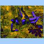 Ds9125a.html