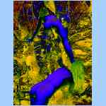Ds9236b.html