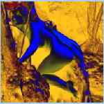 Ds9245r.html
