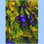 Ds9264a.html