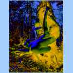 Ds9305.html