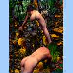 D9236a.html