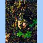 D9267f.html