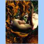D9279a.html
