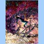 D0289.html