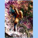 D0292d.html