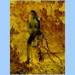 D0294.html