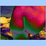 D0348.html